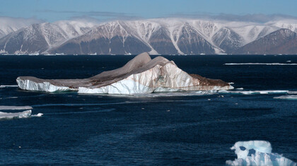 I ghiacci artici stanno subendo i cambiamenti climatici con preoccupanti conseguenze 