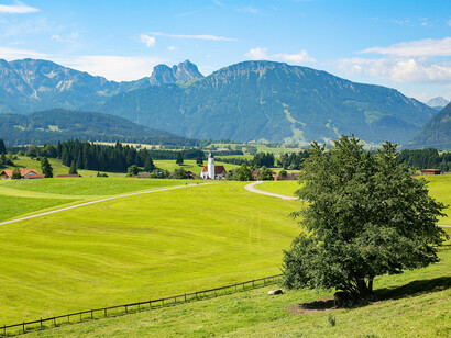 Árboles en una verde pradera. La verdadera batalla detrás del cambio climático en nuestra era geopolítica