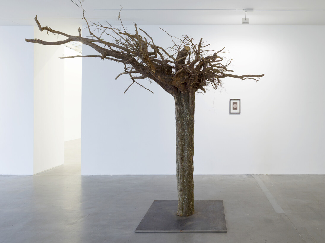 Kris Martin, Exhibition view .Courtesy of VNH Gallery