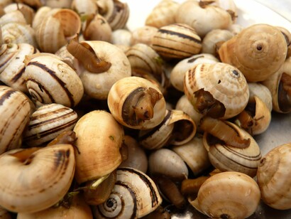 Foto de caracóis à venda no mercado de peixes e vegetais. A "concha" é sempre reveladora de intimidade. Ela não revela, antes mitifica o corpo que não se dá a ver, encoberto que está por essa muralha que é a concha