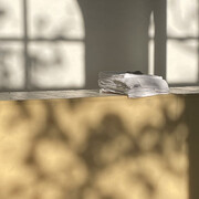 Nora Aurrekoetxea Etxebarria, Misty floors wet skies, exhibition view. Courtesy of Juan Silió Gallery 