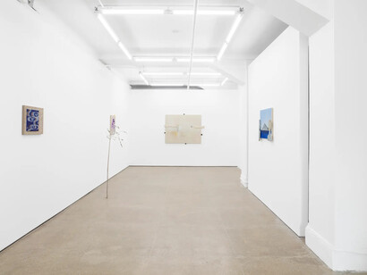 Siobhan Liddell, Going without saying, exhibition view. Courtesy of Gordon Robichaux Gallery