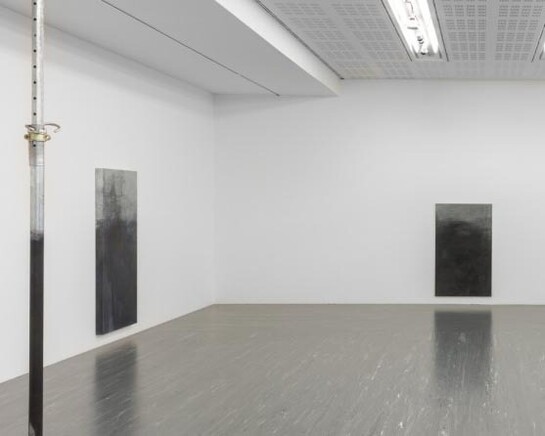 Anita Leisz. Courtesy of 21er Haus