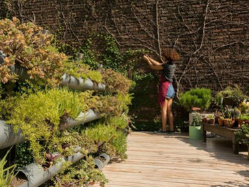 A young woman tends to her vibrant vertical garden, nurturing the flourishing plants with care
