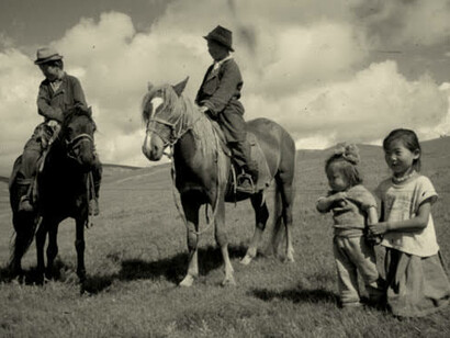 Famiglia della steppa
