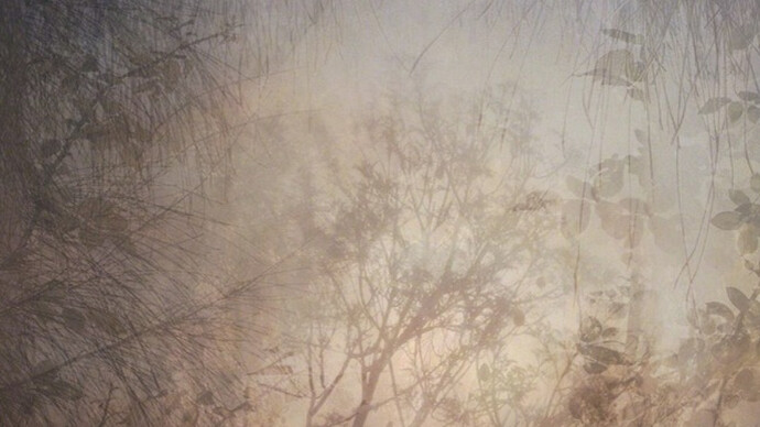 Into the Wilderness. Courtesy of Flinders Lane Gallery