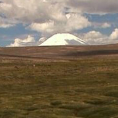 Gianfranco Foschino. Courtesy of Christopher Grimes Gallery