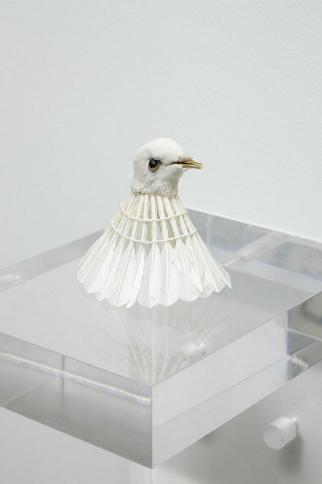 Amphibology. Courtesy of Galerie Paris-Beijing