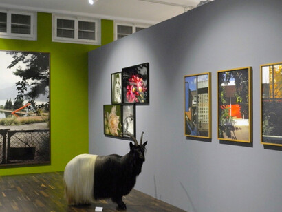 My Garden of Eden. Courtesy of Christophe Guye Galerie