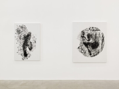 Clarissa Tossin, Piante vagabonde, veduta della mostra. Cortesia di kaufmann repetto