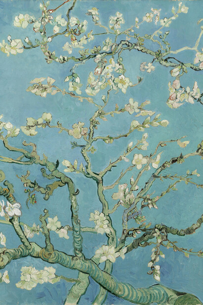 Vincent van Gogh, Almendro en flor (1890, detalle). Miré por la ventana y distinguí, a lo lejos, un ramillete de florcitas silvestres naciendo de tus manos. Vi dibujarse el aire con tu paso apurado y la sonrisa tímida de quien pide permiso para empezar de nuevo