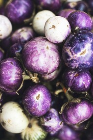 Eggplants