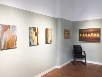 The Language of Trees. Courtesy of Galerie Photo12