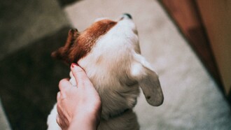 Los sentidos guardan los recuerdos más profundos y nos transportan a momentos olvidados