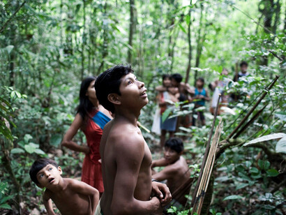 Los awás viven en amplios grupos familiares. Salen juntas a recolectar nueces y frambuesas. © D. Pugliese / Survival