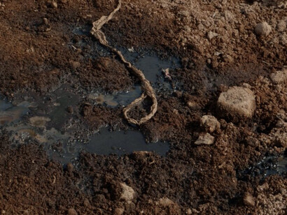 Mountain of Trash, 2020