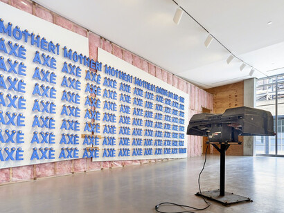 Sean Shim-Boyle. Courtesy of Jane Lombard Gallery
