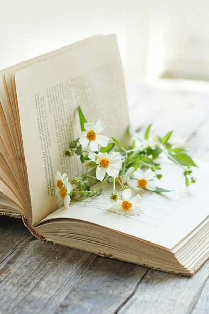 Por mais que a poesia aborde o cotidiano, brade as dores do mundo, mergulhe no sutil, seja panfletária, busque a verdade e a justiça, ecoe a liberdade, ande de braços dados com a filosofia, entregue-se ao erotismo e à sensualidade, grite críticas sociais ou voe no misticismo, a poesia é visceral, parte de um sentimento muito antes das mãos receberem o comando da mente