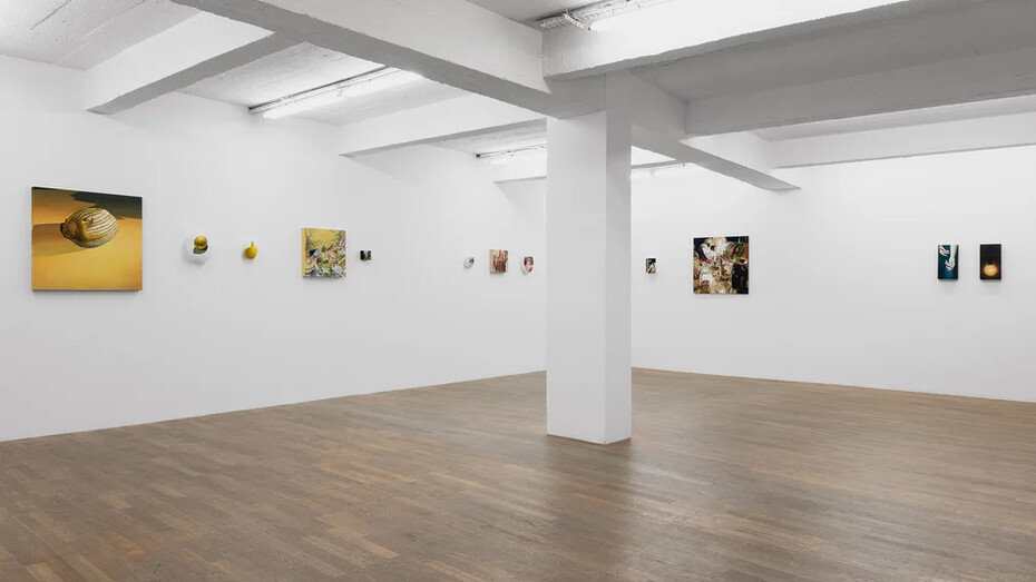 France Bizot, Natures molles, exhibition view. Courtesy of Backslash Gallery