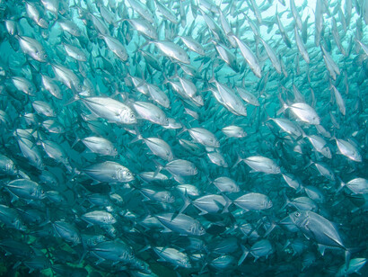 Todo sigue en su lugar, el mar está a más de trescientos kilómetros