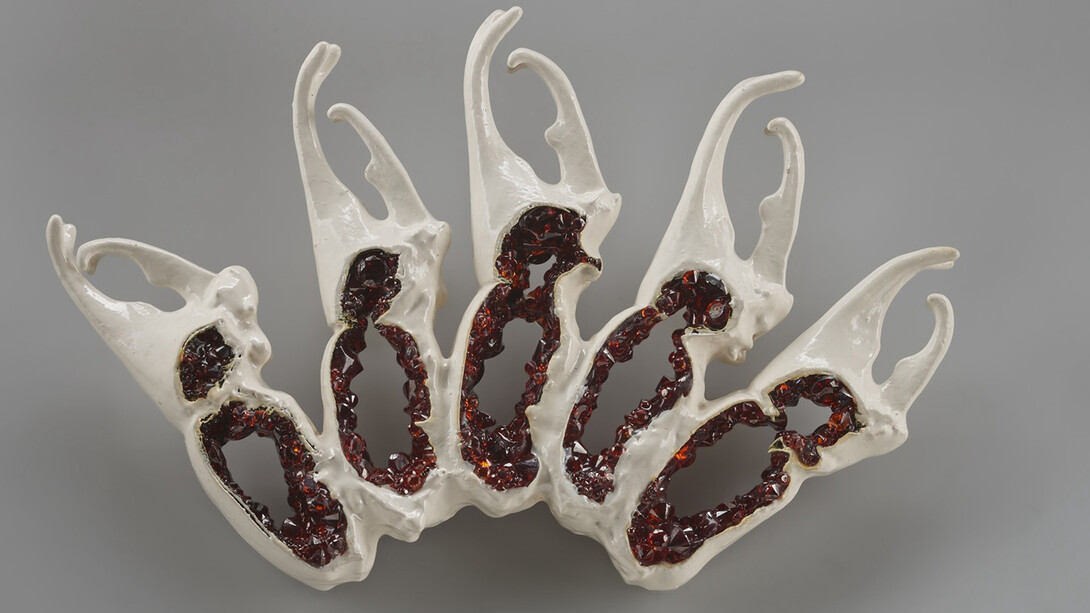 Wunderkammer: the collection of Susan Beech. Courtesy of Museum of Craft and Design 