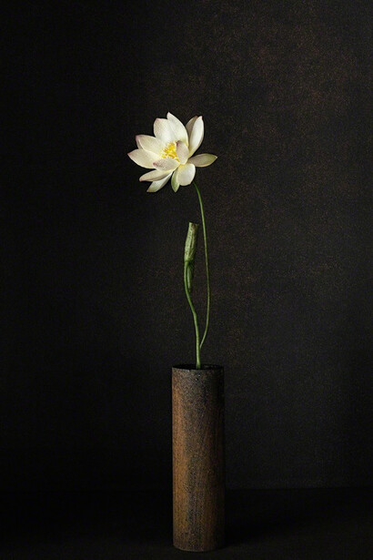 A Stage. Courtesy of Galerie marie-robin