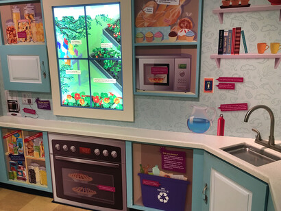 Our Energy Future. Courtesy of Florida Museum of Natural History