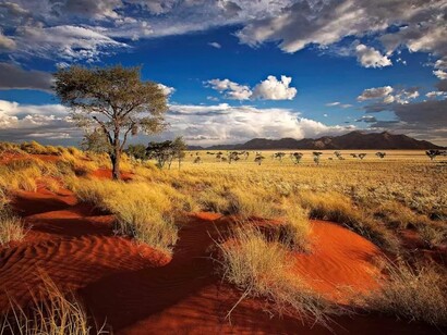 Namibia's nature. I do not claim an inheritance from things I did not work for, the resultant profit of my struggle is to enjoy the limits of resources available