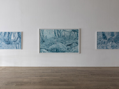 Gastón Herrera, Among the trees, exhibition view. Courtesy of Praxis