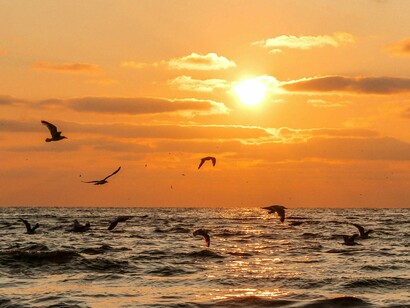 É preciso libertar o pensamento, pautado e dirigido pelos fundadores da tradição cultural (o que os nossos antepassados pensaram, investigaram e criaram) e pelas estruturas mentais restringidas pela lógica do verdadeiro/falso, porque limita e reduz outras possibilidades de pensar e conceber a realidade. Uma visita ao Museu do Oriente ajuda!



