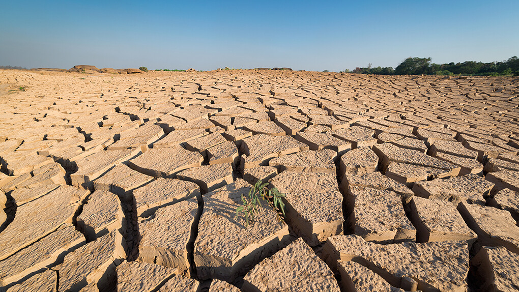 Cambiamenti climatici