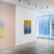 Mika Tajima, Penumbra, exhibition view. Courtesy of Pace Gallery