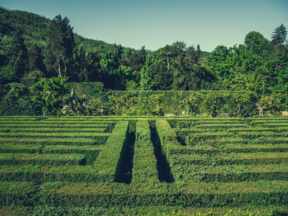 Il labirinto del giardino di Valsanzibio