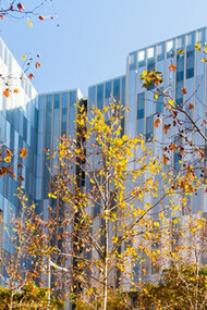 La EEBE es un centro académico de alta calidad en el ámbito de la ingeniería para la industria del siglo XXI. Campus Diagonal Besòs,  Barcelona 08019, Catalunya, España.