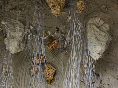 Nymphee au Domaine de Trévarez. Eva Jospin. Ph Didier Olivre