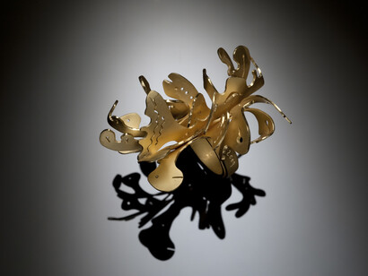 Fausto Maria Franchi - anello