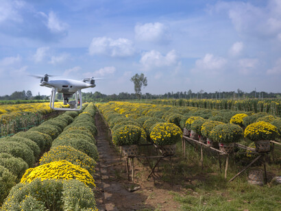 Tecnologia de drone ajuda agricultor a mapear sua fazenda