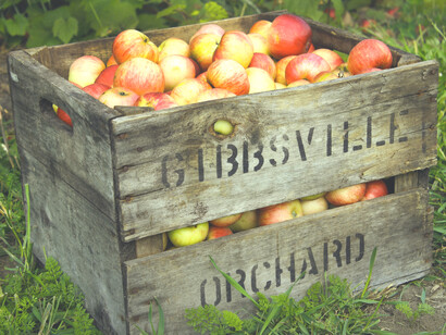 Manzanas orgánicas 