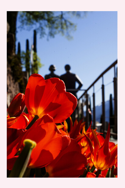I viali fioriti © Karlheinz Sollbauer