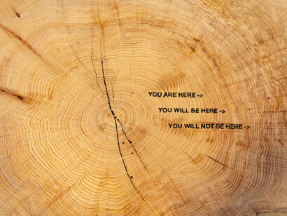 Tiffany Shlain, You are here. Courtesy of Nancy Hoffman Gallery