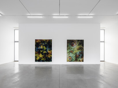 Thomas Ruff, vista della mostra. Cortesia di Lia Rumma Gallery