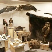 Don't buy their lives. exhibition view. Courtesy of the Latvian National Museum of Natural History