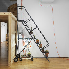 Installation view, Phoebe Washburn, Giving Good Fwar Gwaar. Courtesy the artist and Marinaro, New York