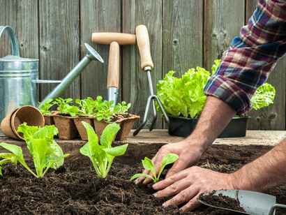 Make room to your plants