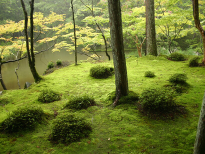 Giardino zen