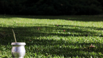Compañero en el jardín del patio compartido, Buenos Aires, Argentina