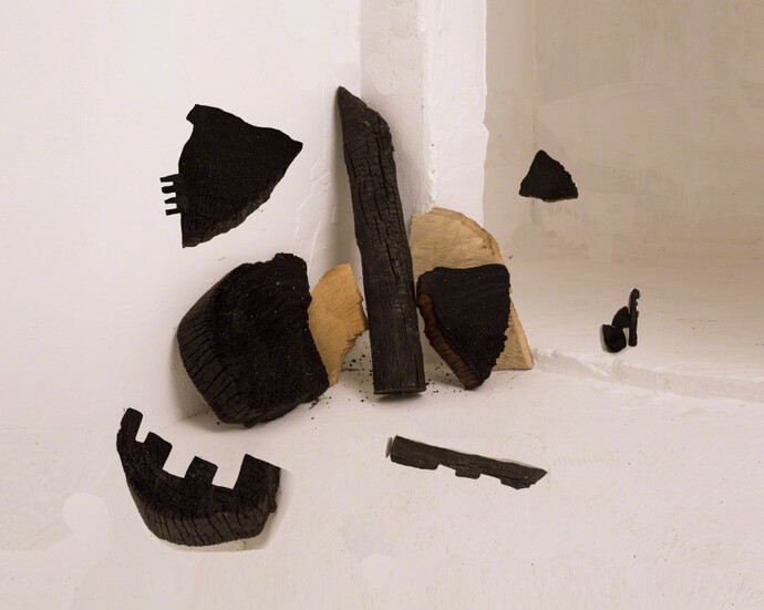 Nico Krijno. Courtesy of The Ravestijn Gallery