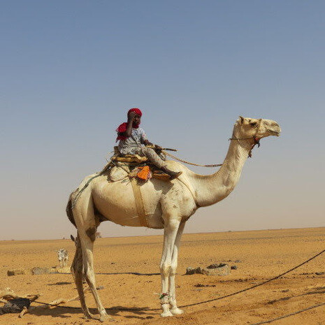 Ragazzina nomade 
