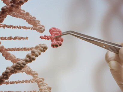 As técnicas CRISPR são usadas para introduzir mudanças no genoma com enorme precisão