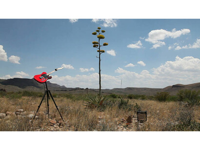Richard T. Walker, the predicament of always (as it is), 2014. Two-channel HD video. Courtesy the artist and Carroll/Fletcher.